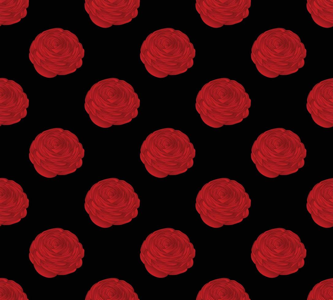 Red Ranunculus on Black Background vector