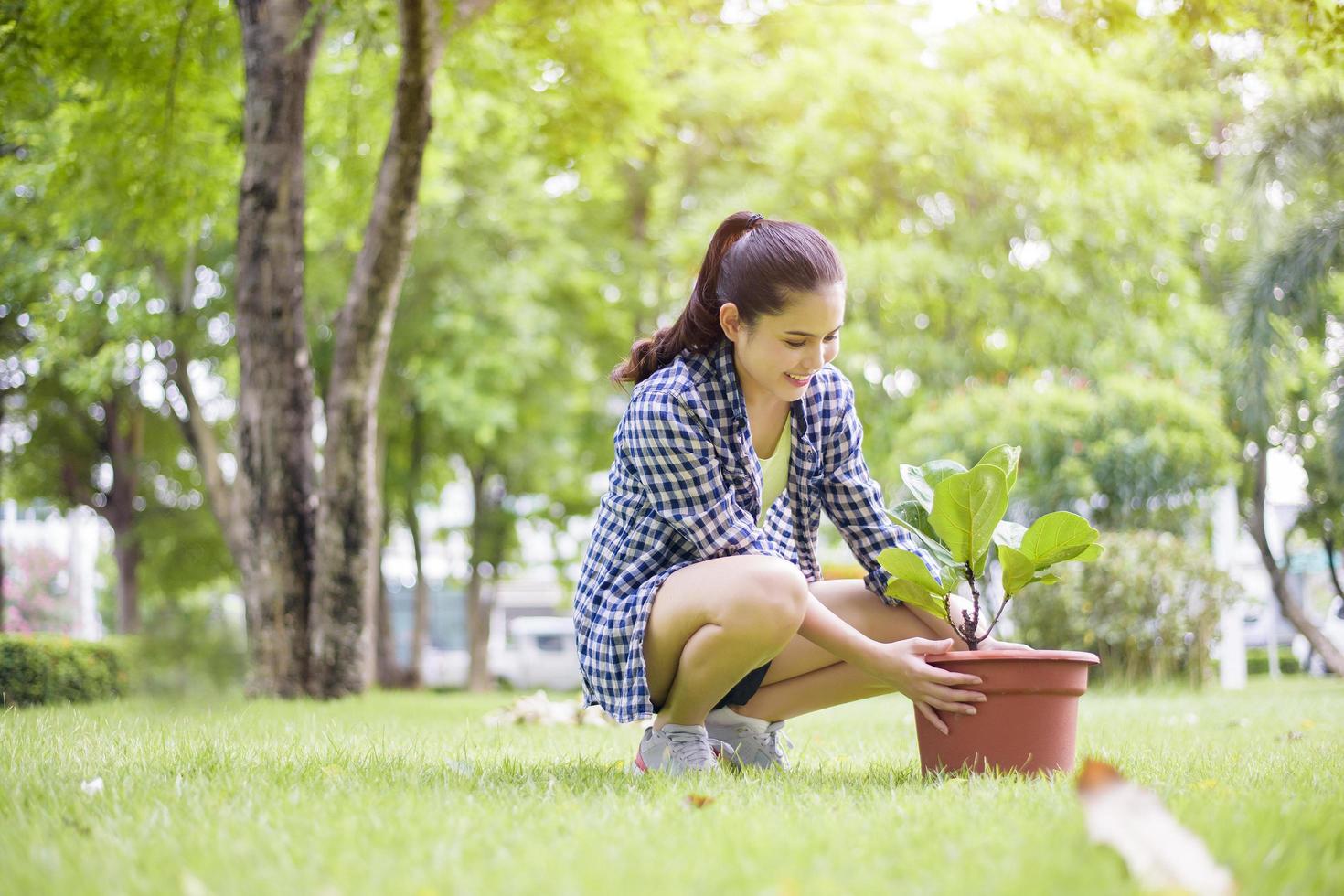 mujer está plantando el árbol en el jardín foto