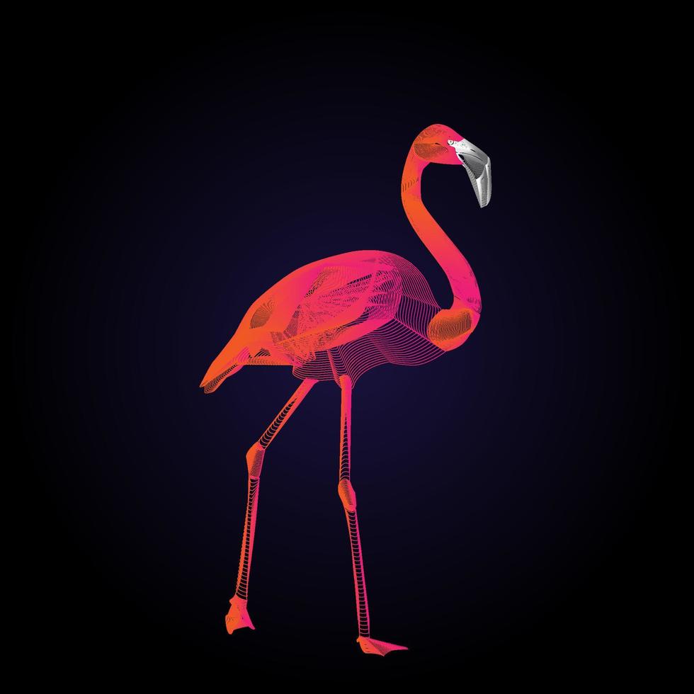 Flamingos figure line art. The wired wading bird image background. vector