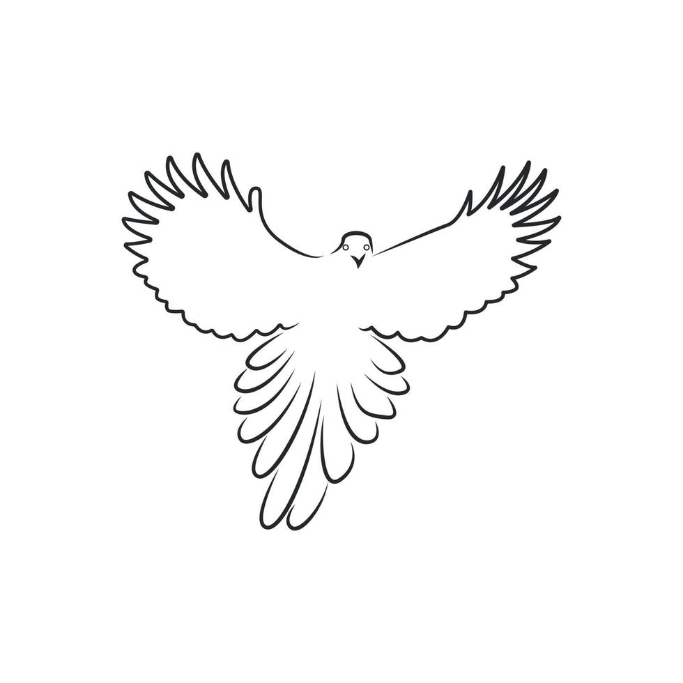 Flying bird Vector line Art