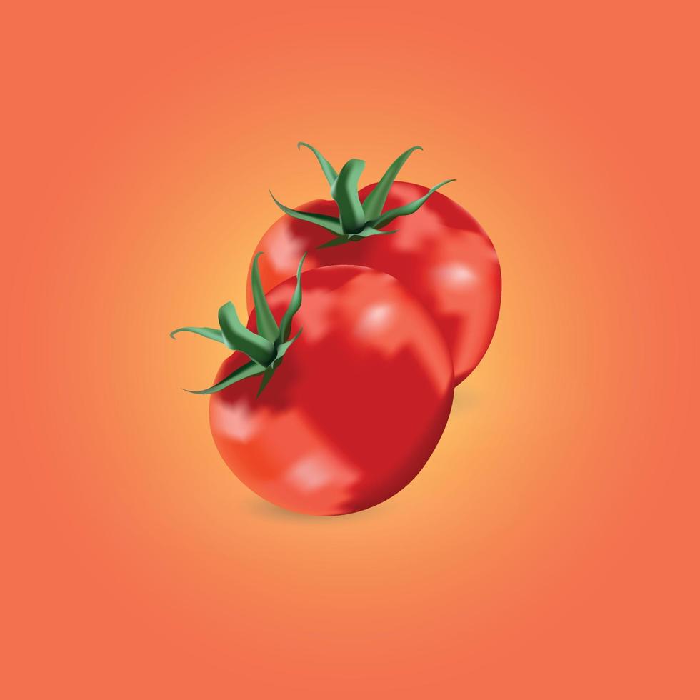 Red Tomato Vector