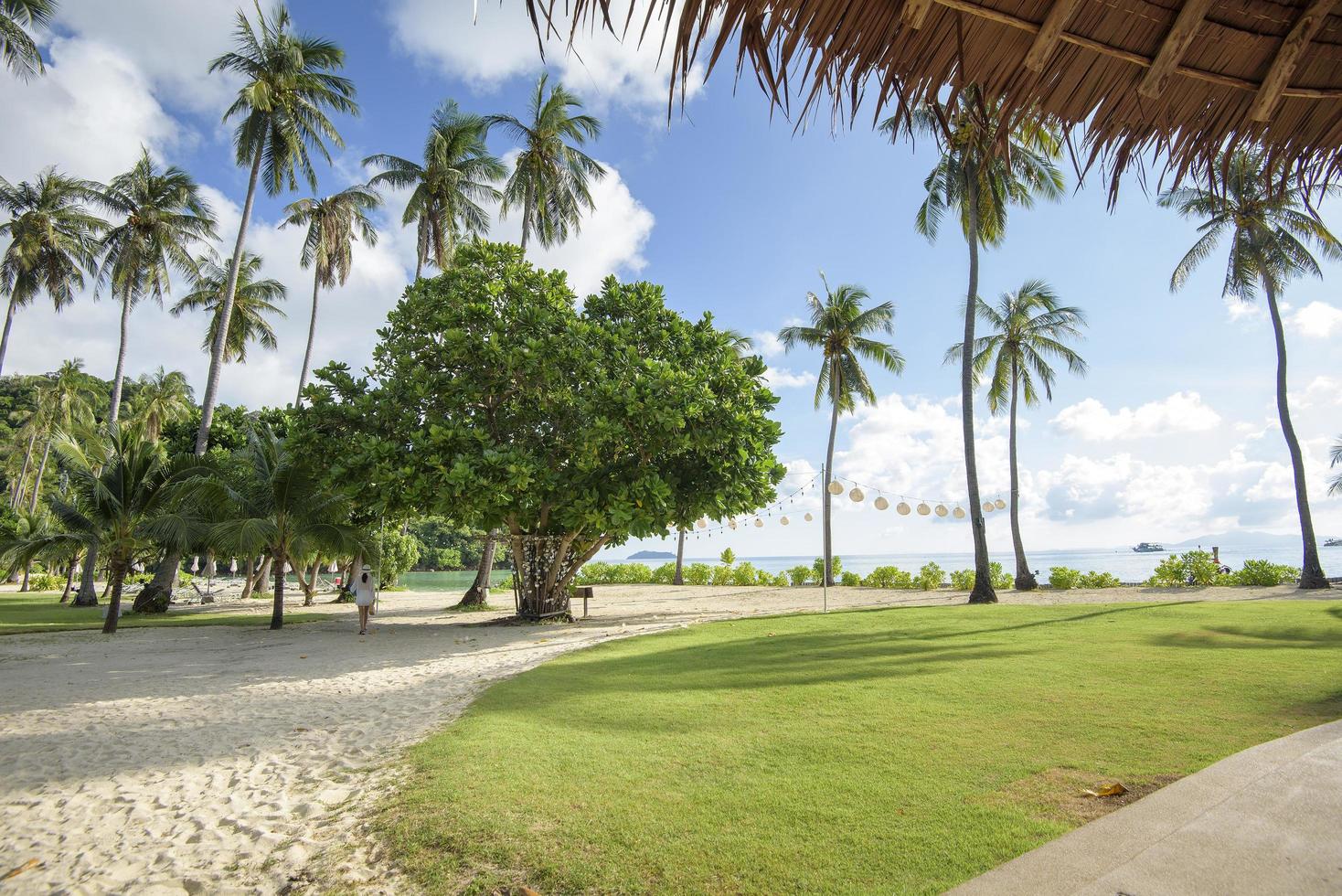 hermosa vista del acogedor bungalow con jardín tropical verde en la isla phi phi, tailandia foto