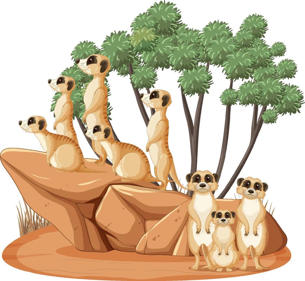 grupo de suricatas en estilo de dibujos animados vector