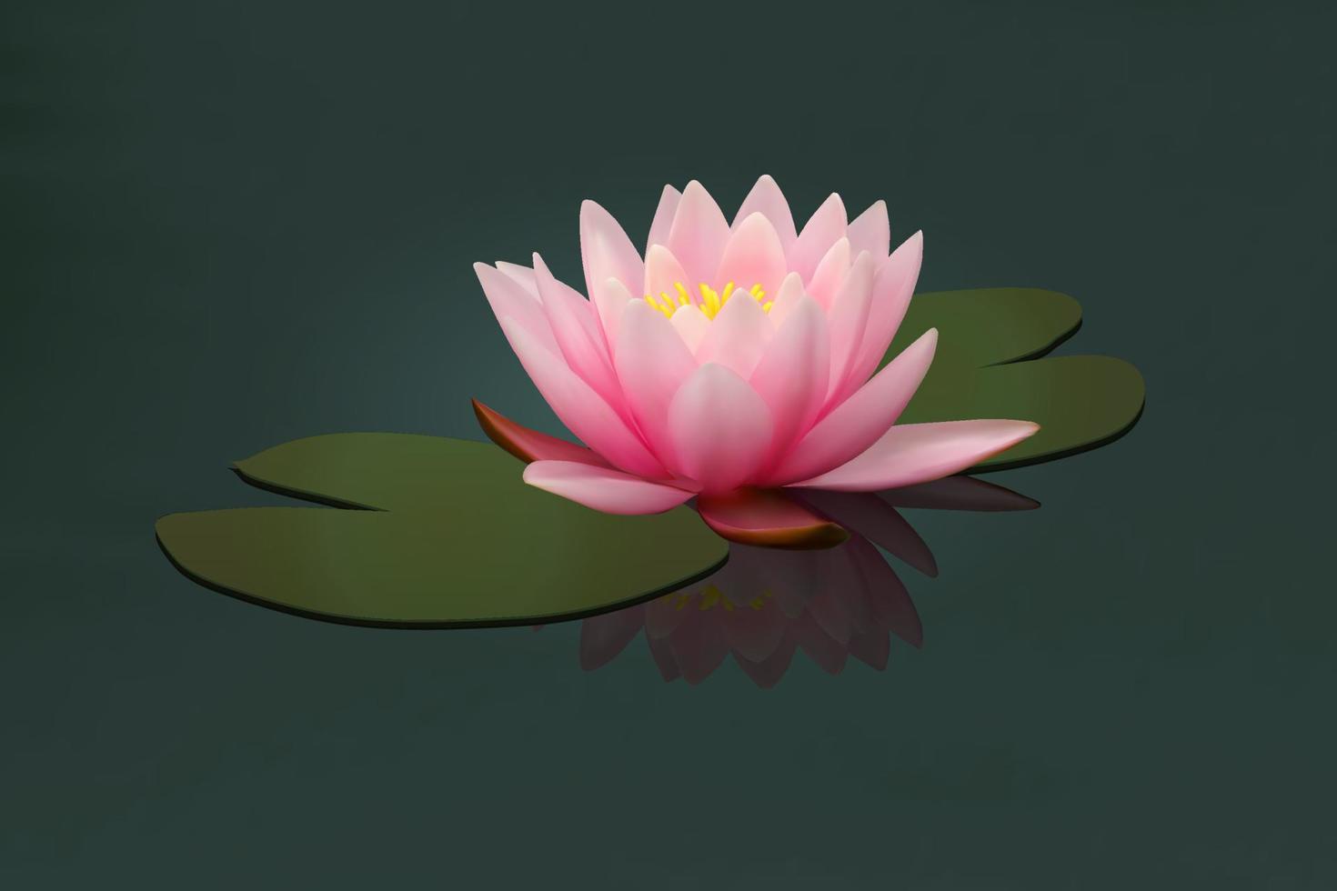 flor de loto y hojas que crecen en el agua, ilustración vectorial vector
