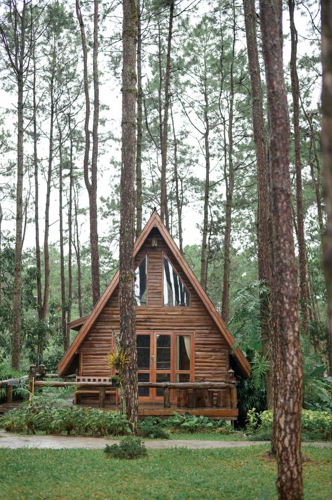 A wooden a-frame country house photo