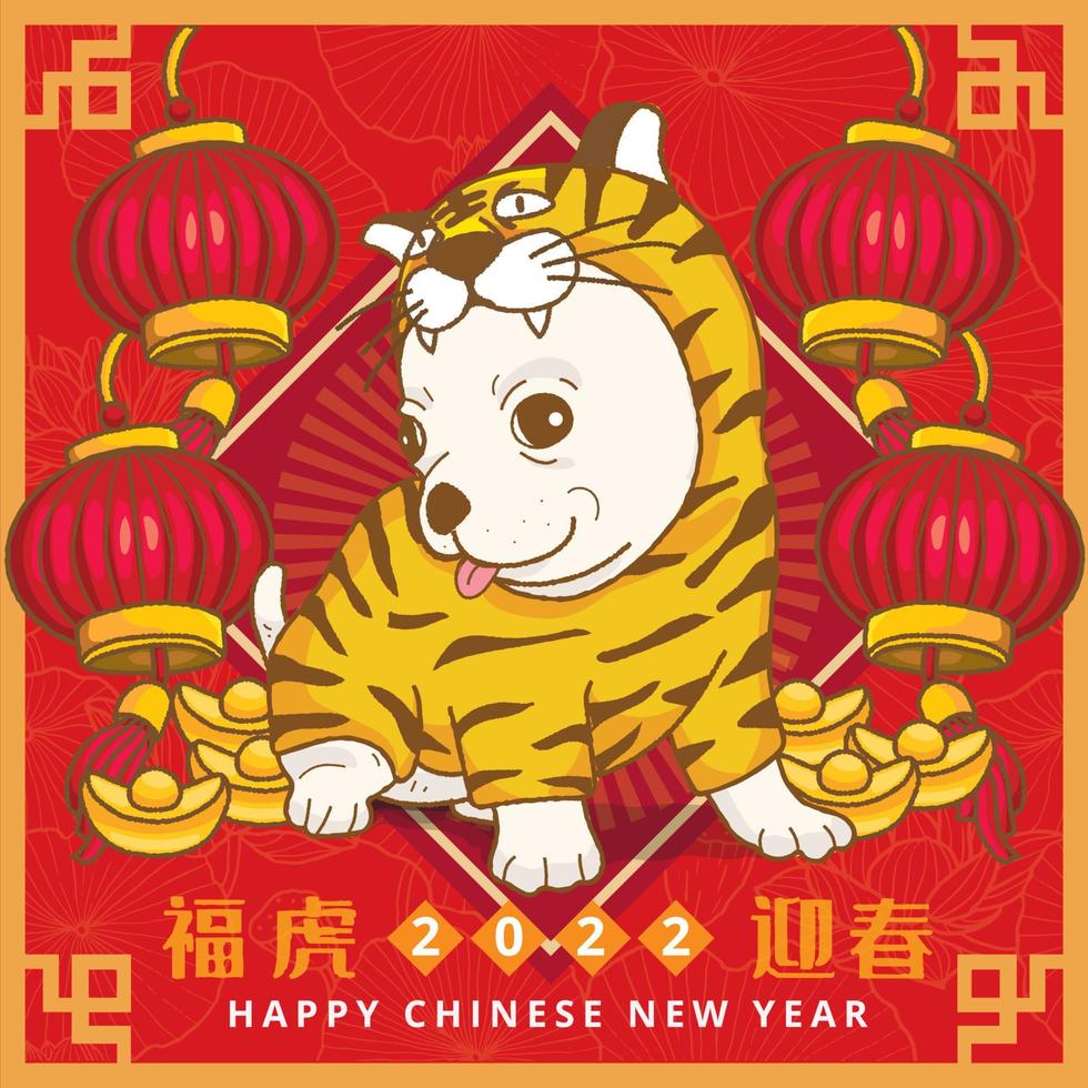 Cute chihuahua dog wearing tiger costume with money and Red Lantern to celebrate Chinese New Year vector