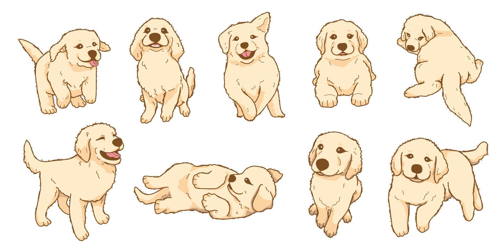 conjunto de ilustración de cachorro de golden retriever juguetón de dibujos animados vector