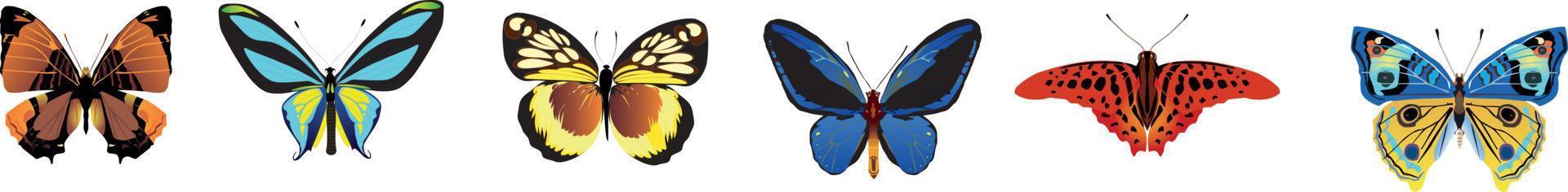 conjunto de mariposas diferentes. ilustración vectorial vector