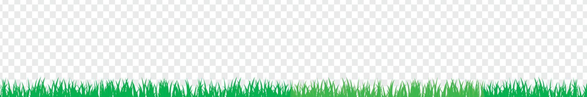 Vector bright green realistic seamless grass border isolated on transparent background