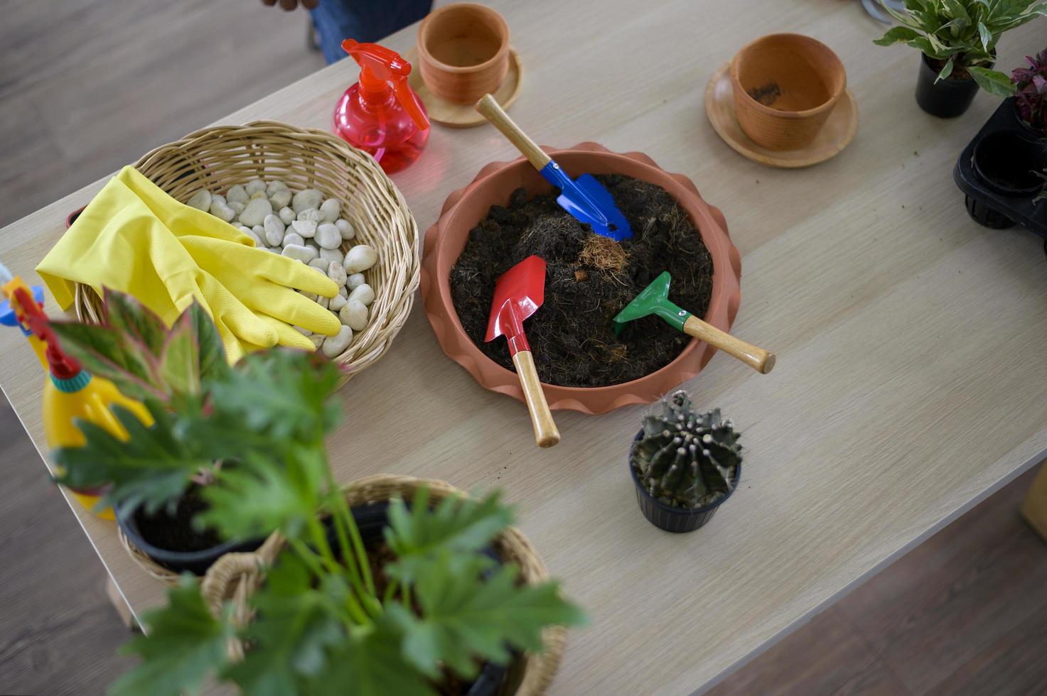 Top view of gardening tools on wooden floor, hobby and leisure concept photo