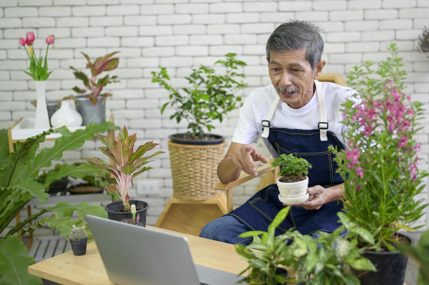 Senior man entrepreneur working with laptop presents houseplants during online live stream at home, selling online concept photo