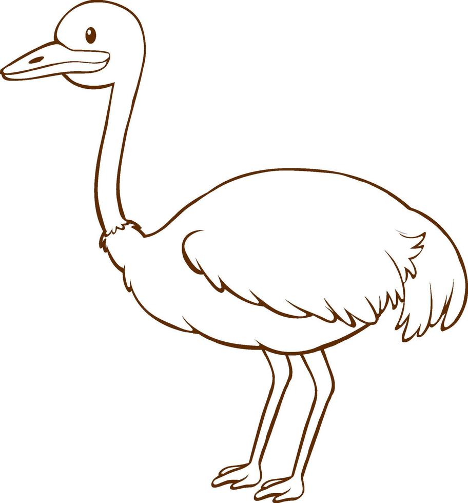 Ostrich in doodle simple style on white background vector