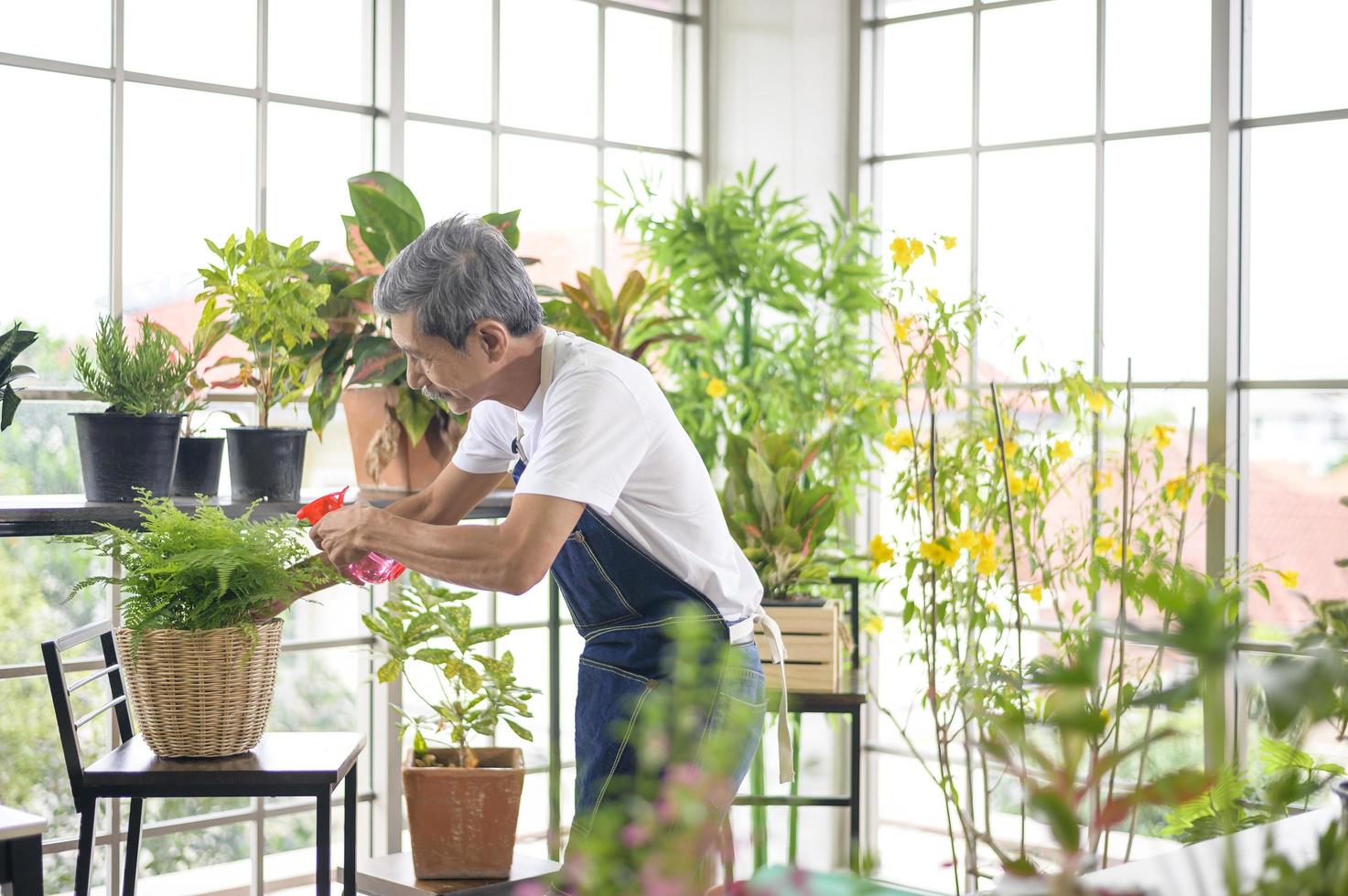 feliz anciano jubilado asiático rociando y regando el árbol disfruta de la actividad de ocio en casa foto