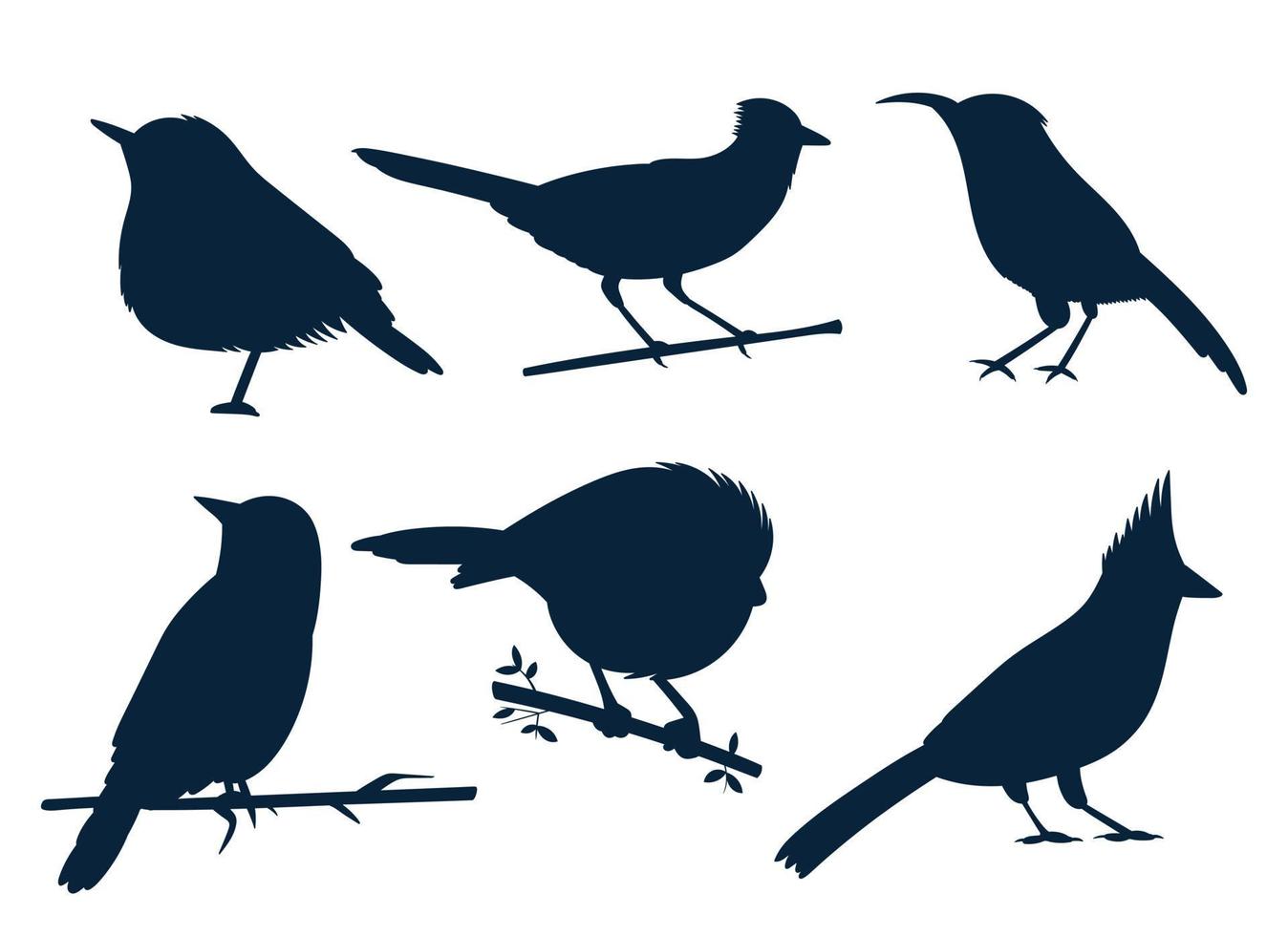 conjunto de aves ilustración de diseño vectorial aislado sobre fondo blanco vector