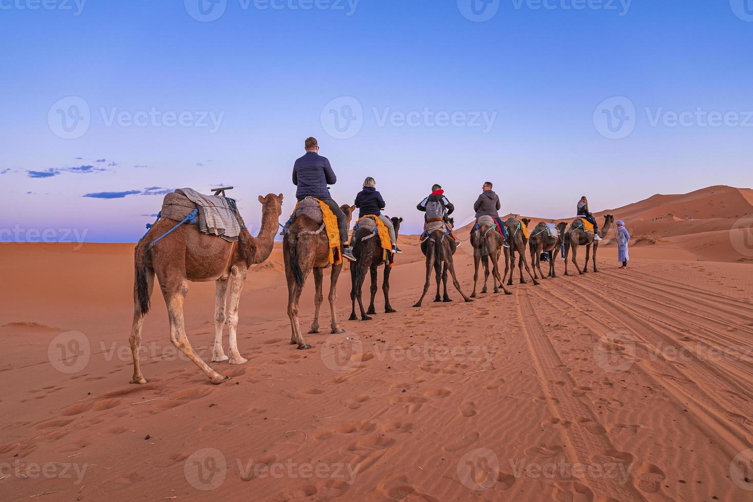 beduino lleva caravana de camellos con turistas a través de la arena en el desierto foto