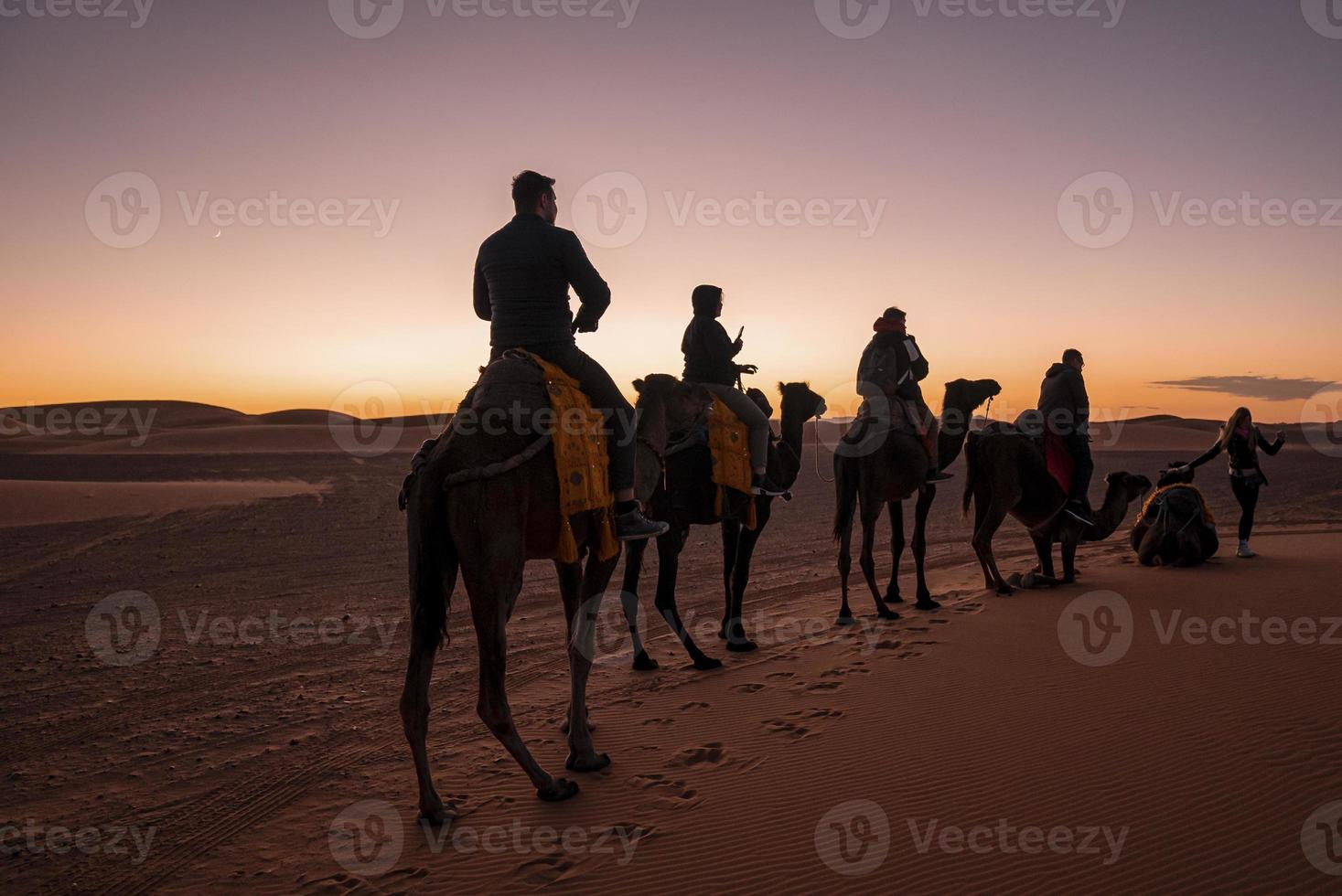 caravana de camellos con turistas atravesando la arena en el desierto foto