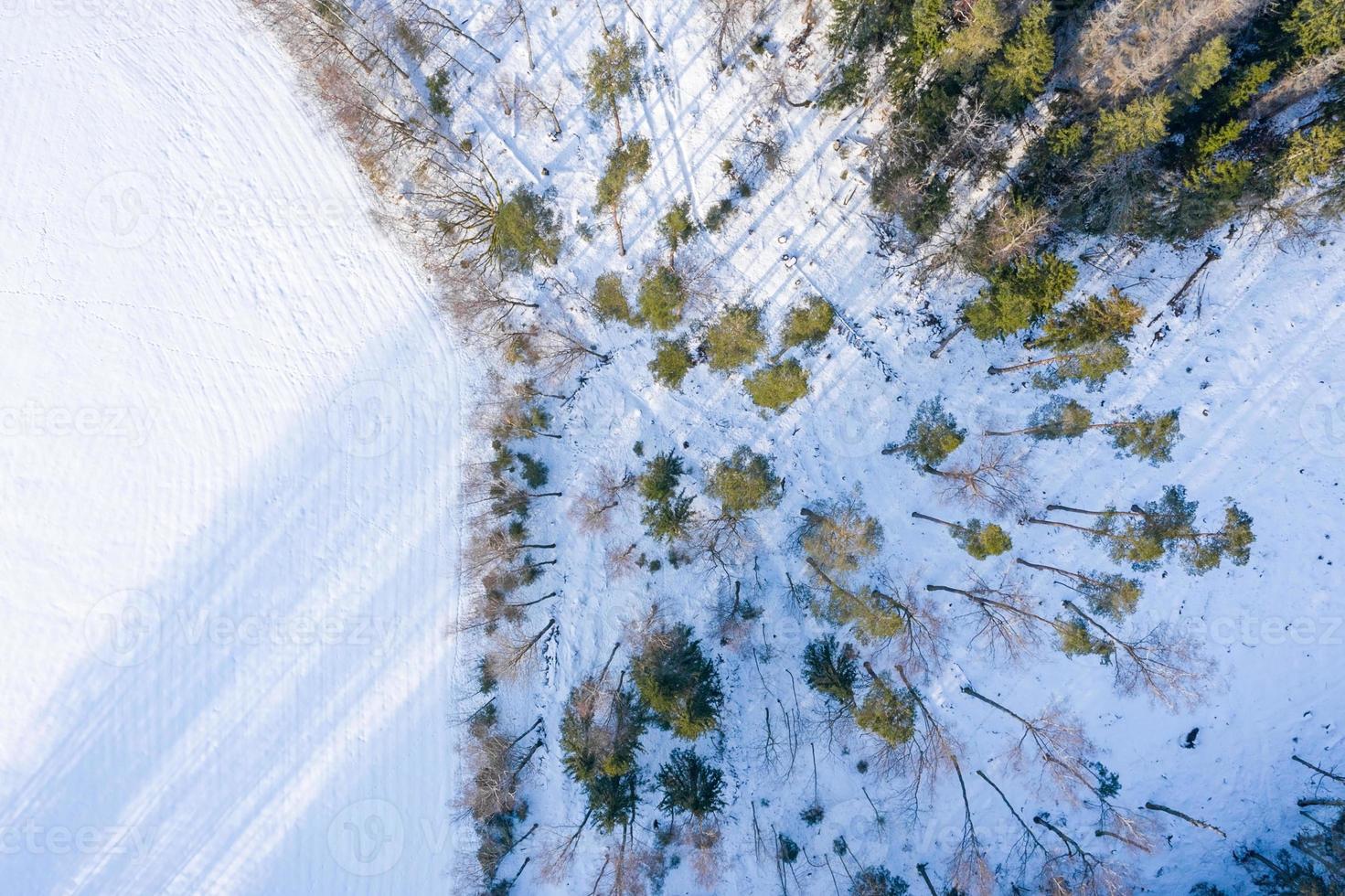 Fabulous aerial winter panorama of mountain forest with snow covered fir trees. Colorful outdoor scene, Happy New Year celebration concept. Beauty of nature concept background. photo
