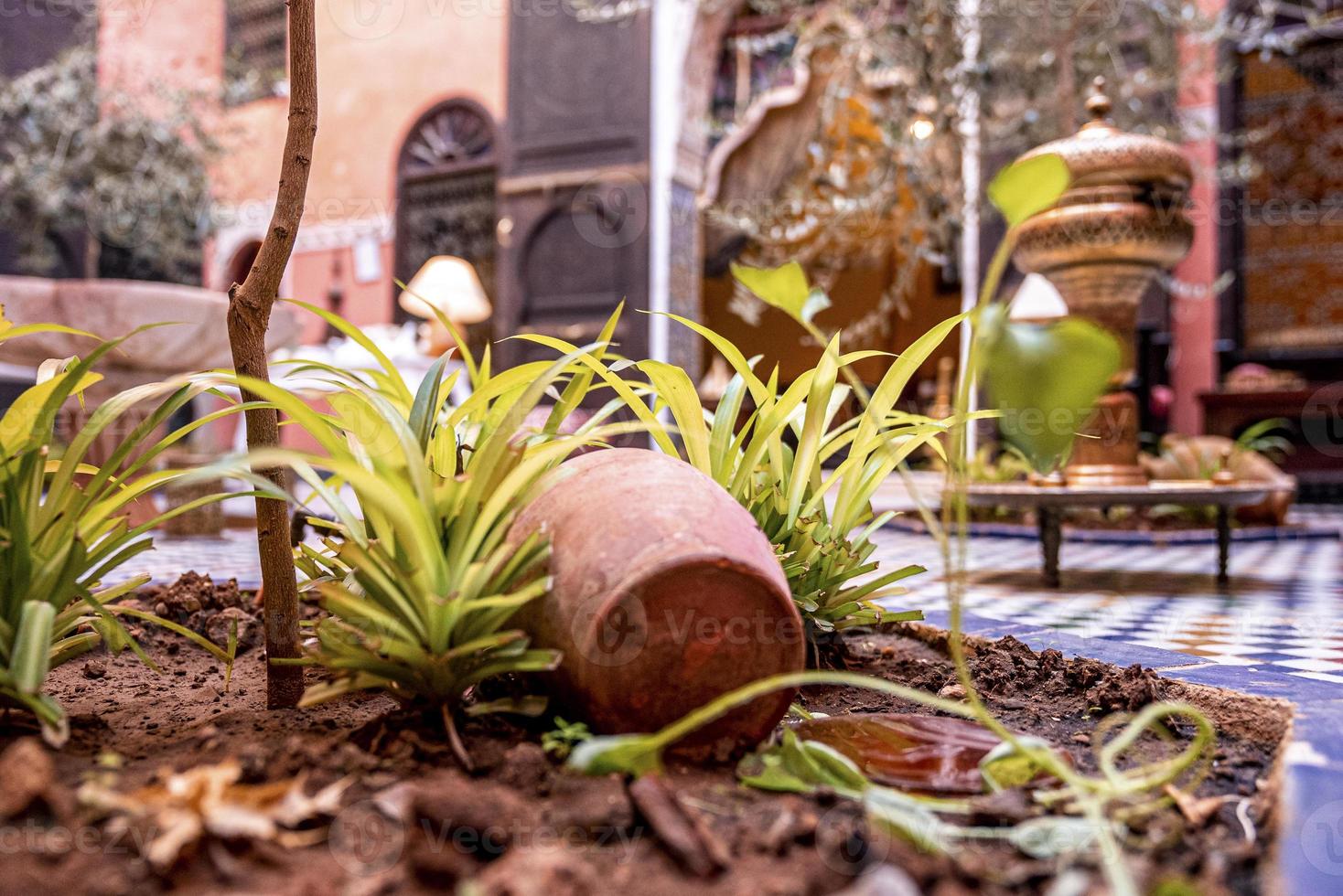 maceta o jarrón de barro caído en medio de una planta en el patio delantero o trasero foto