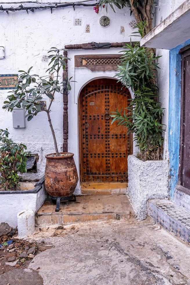 Arched entry of a traditional house with potted plants in front of metallic closed door photo