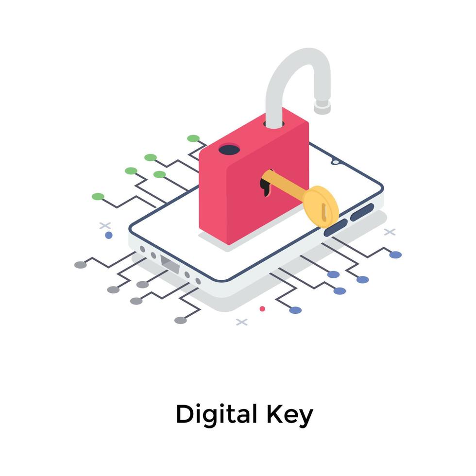 Digital Lock Concepts vector