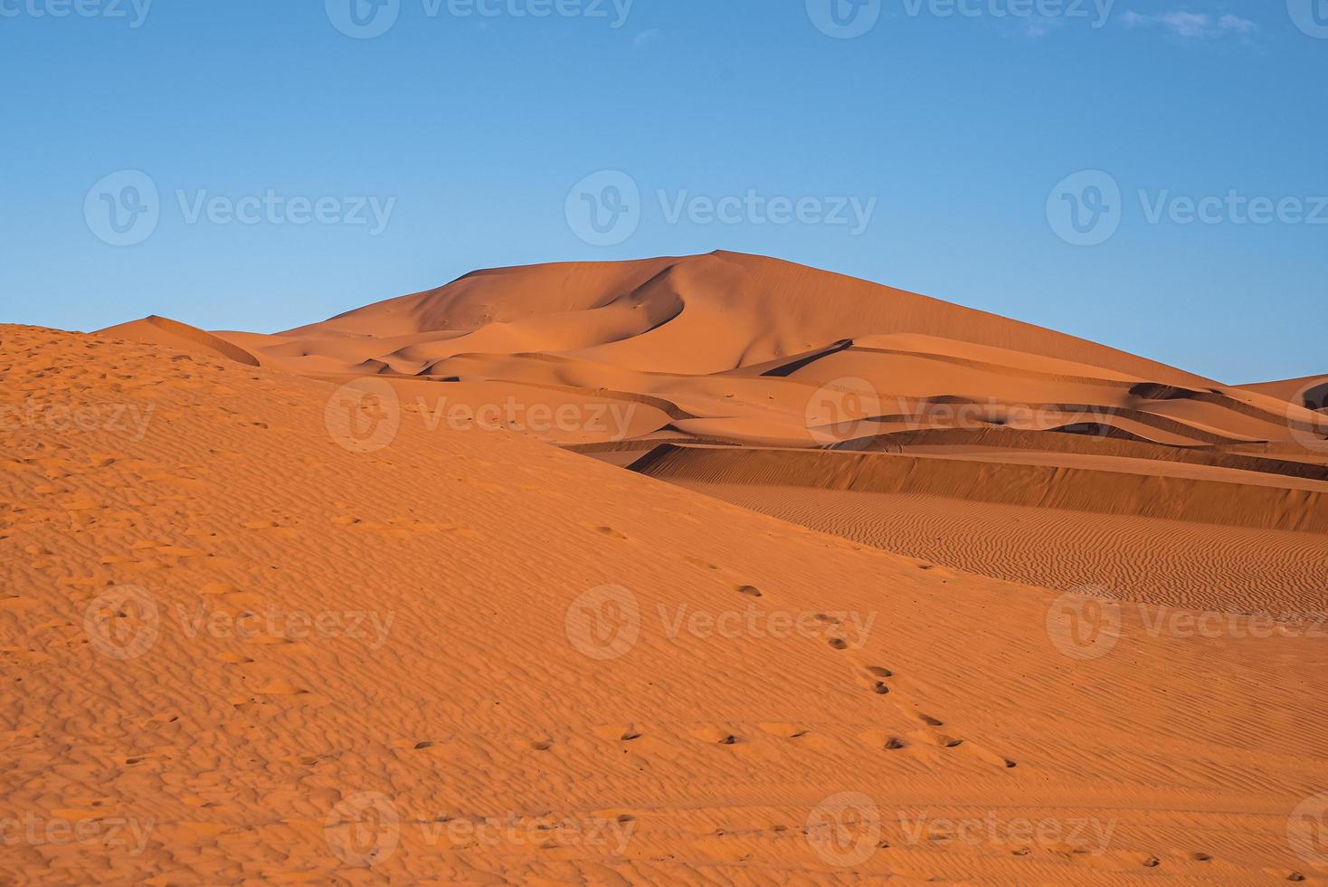 Footsteps with sand dunes in desert on sunny summer day against clear sky photo