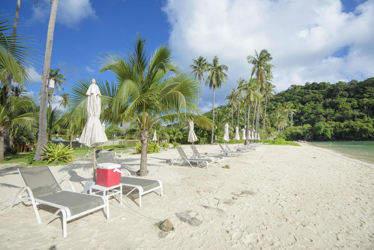 Beautiful view landscape of lounge chairs on tropical beach, the emerald sea and white sand against blue sky, Maya bay in phi phi island , Thailand photo