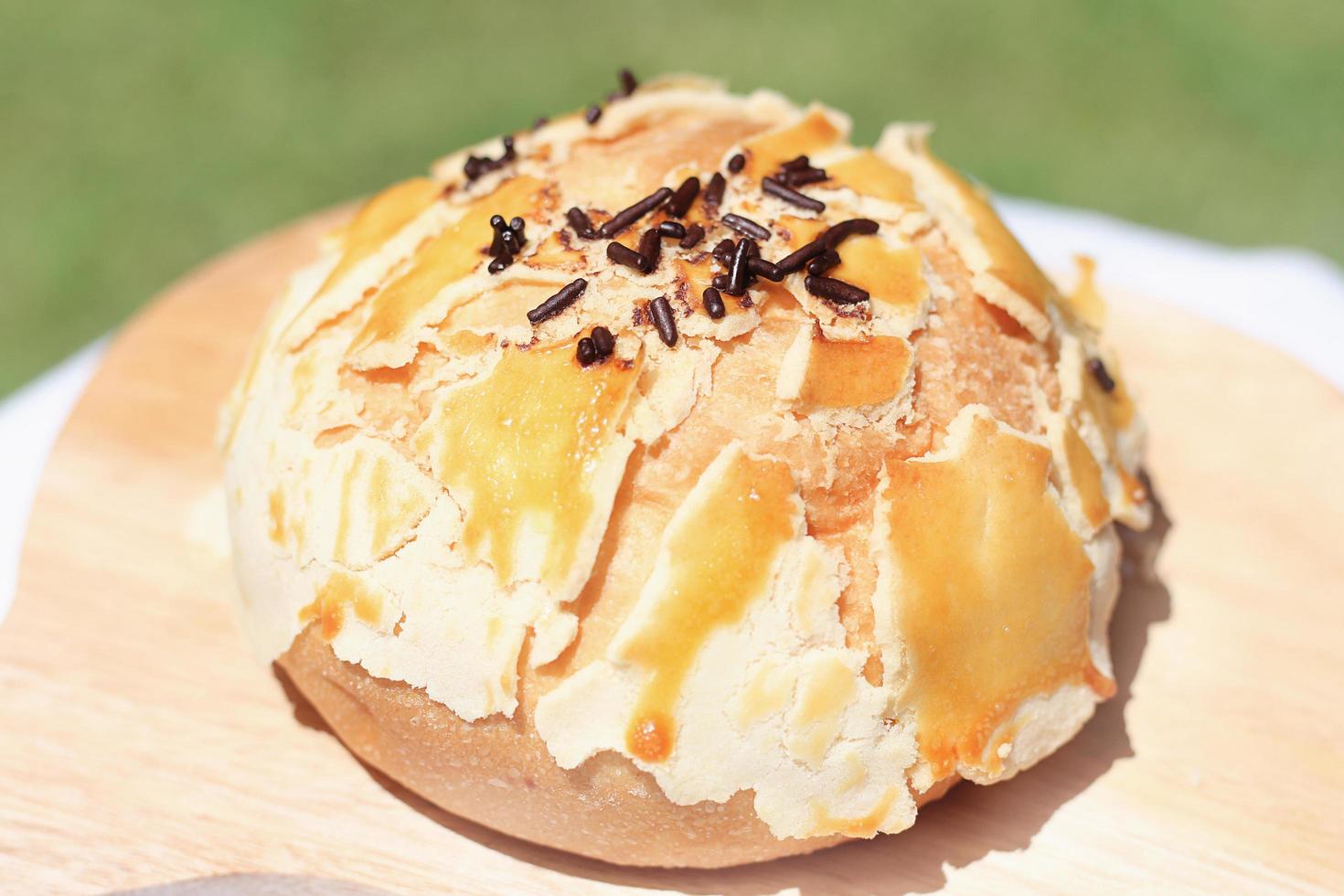 Chocolate bread, cake with flakes isolated on nature background photo