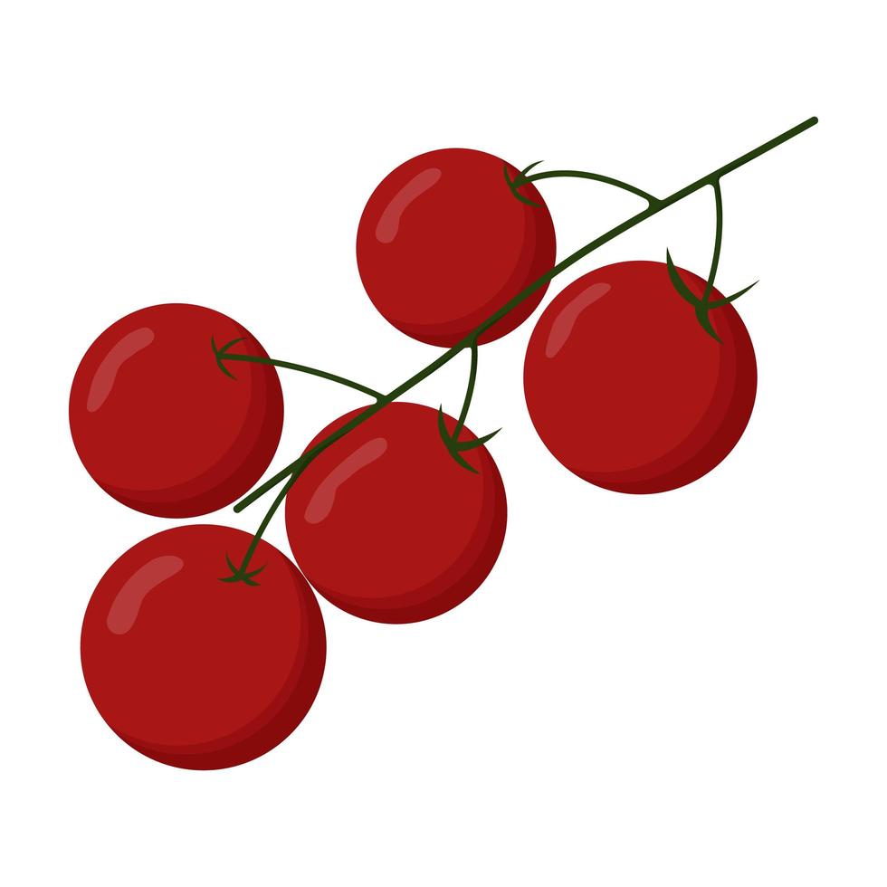 Red cherry tomatoes on branch isolated on white background vector