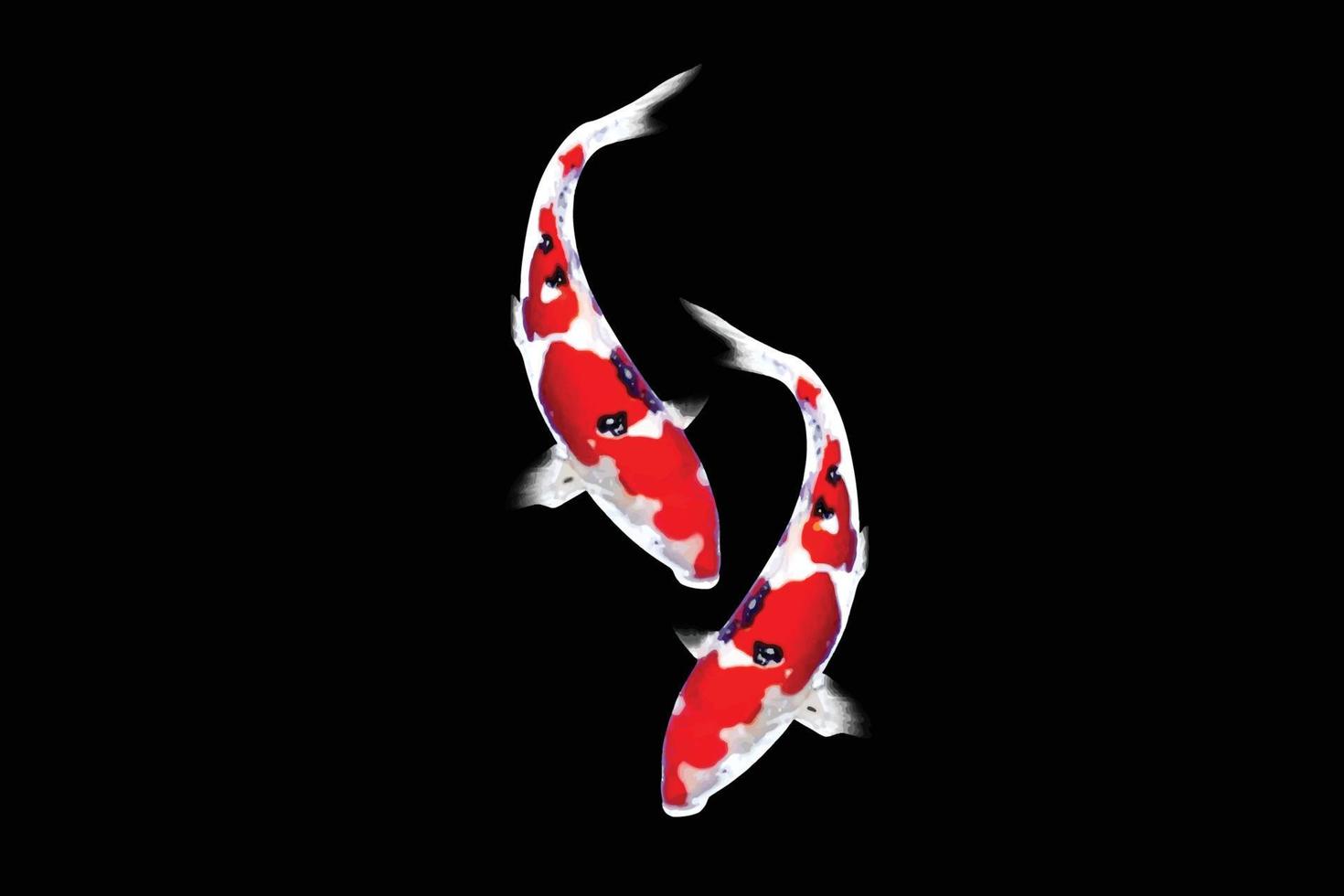 vector de peces koi sobre fondo negro. adecuado para la decoración