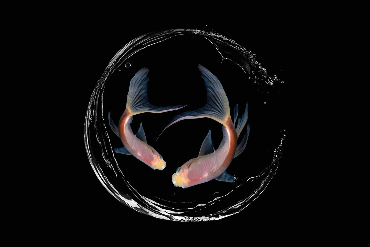 vector de peces koi sobre fondo negro. adecuado para la decoración