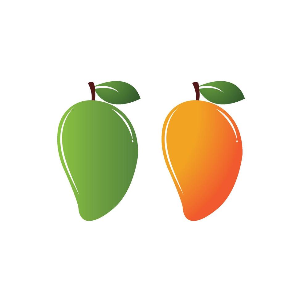 Mango fruit vector icon illustration design