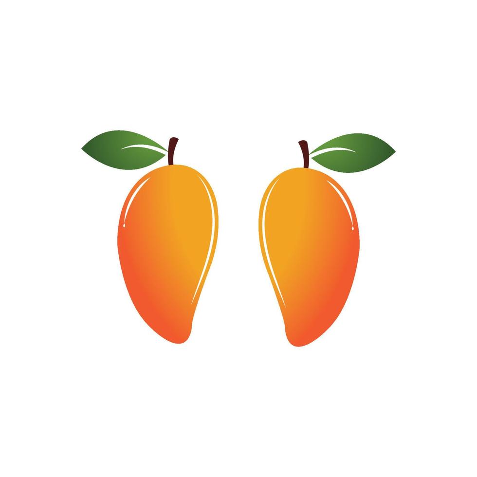 Mango fruit vector icon illustration design