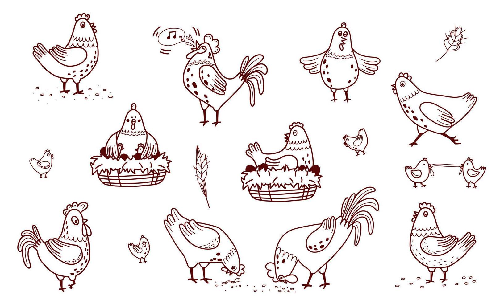 Hand drawn doodle domestic birds ser. Hen, Rooster and chickens set. vector