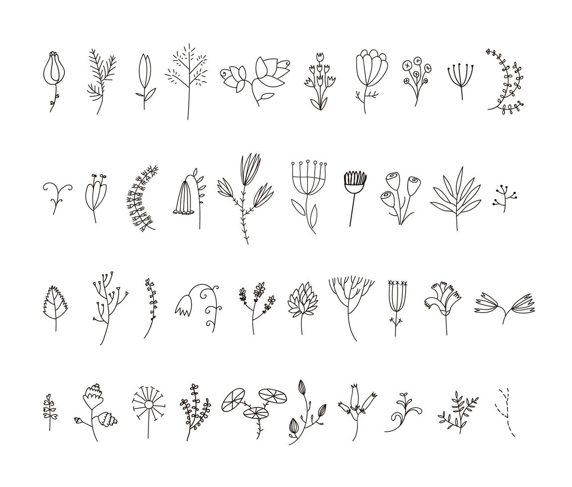 conjunto vectorial de 40 flores y florales de línea dibujada a mano. vector