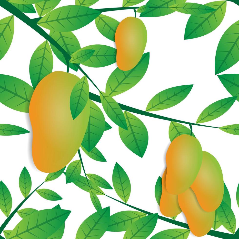 seamless vector design of green leaf mango fruit on white background. modern fruit tree wallpaper and graphic design. modern templates