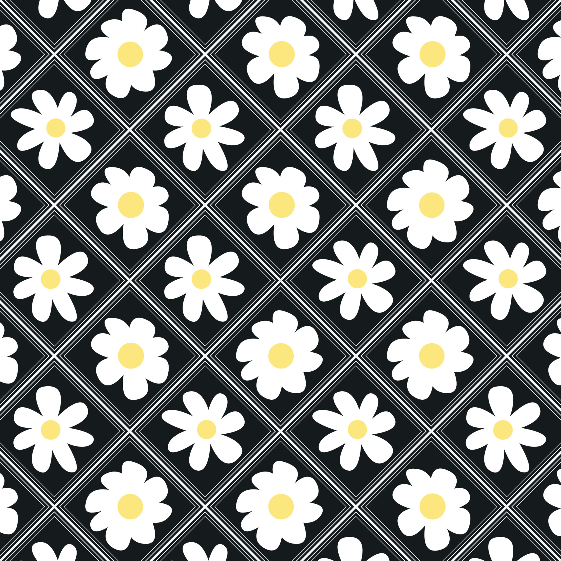 abstract beautiful daisy yellow white flower blossom botanical floral