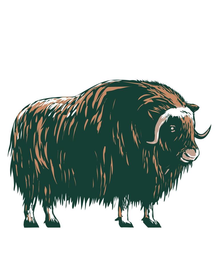 Muskox Musk Ox Musk-Ox or Musk Oxen Native to the Arctic Side View WPA Poster Art vector