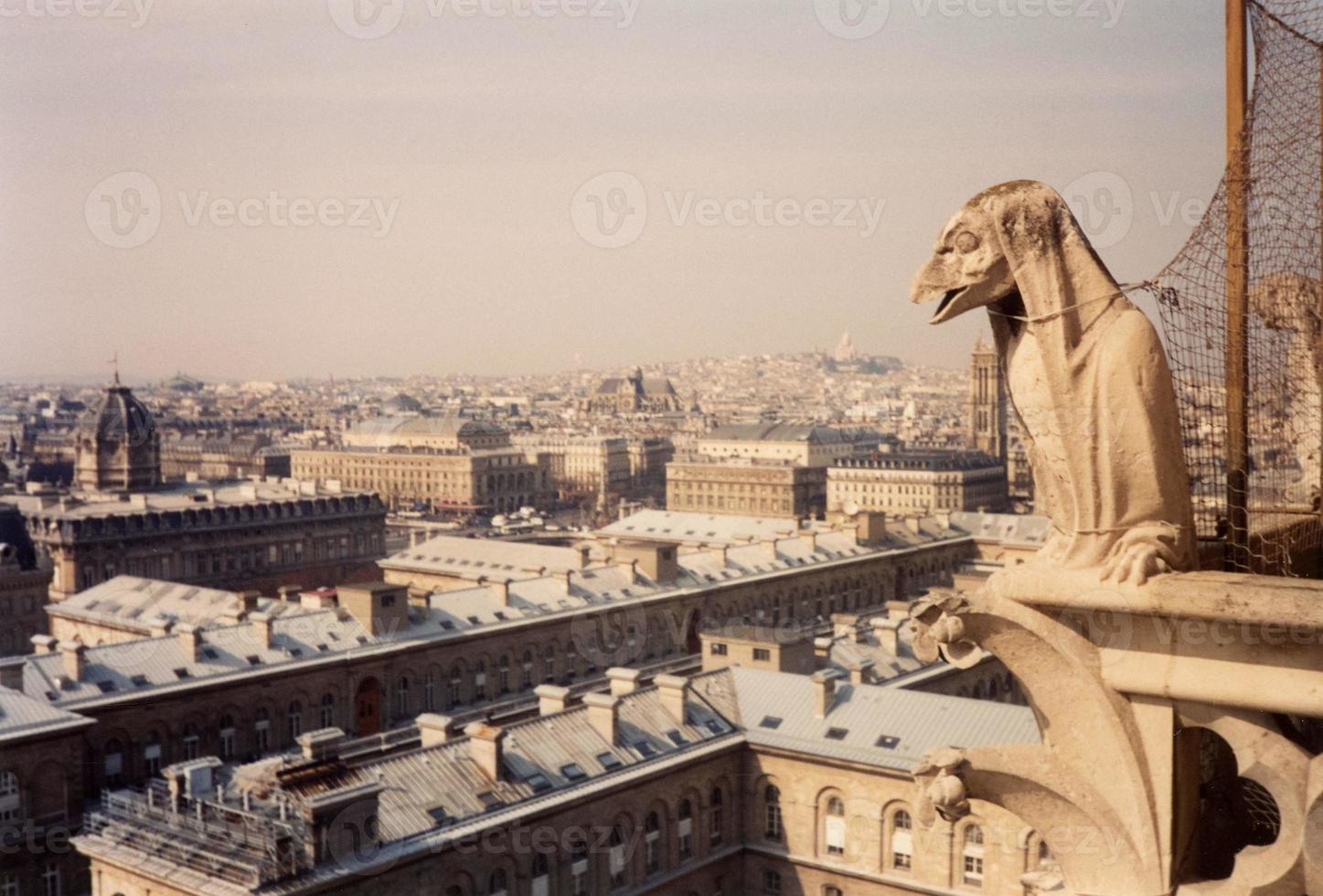 Notre Dame cathedral in Paris photo