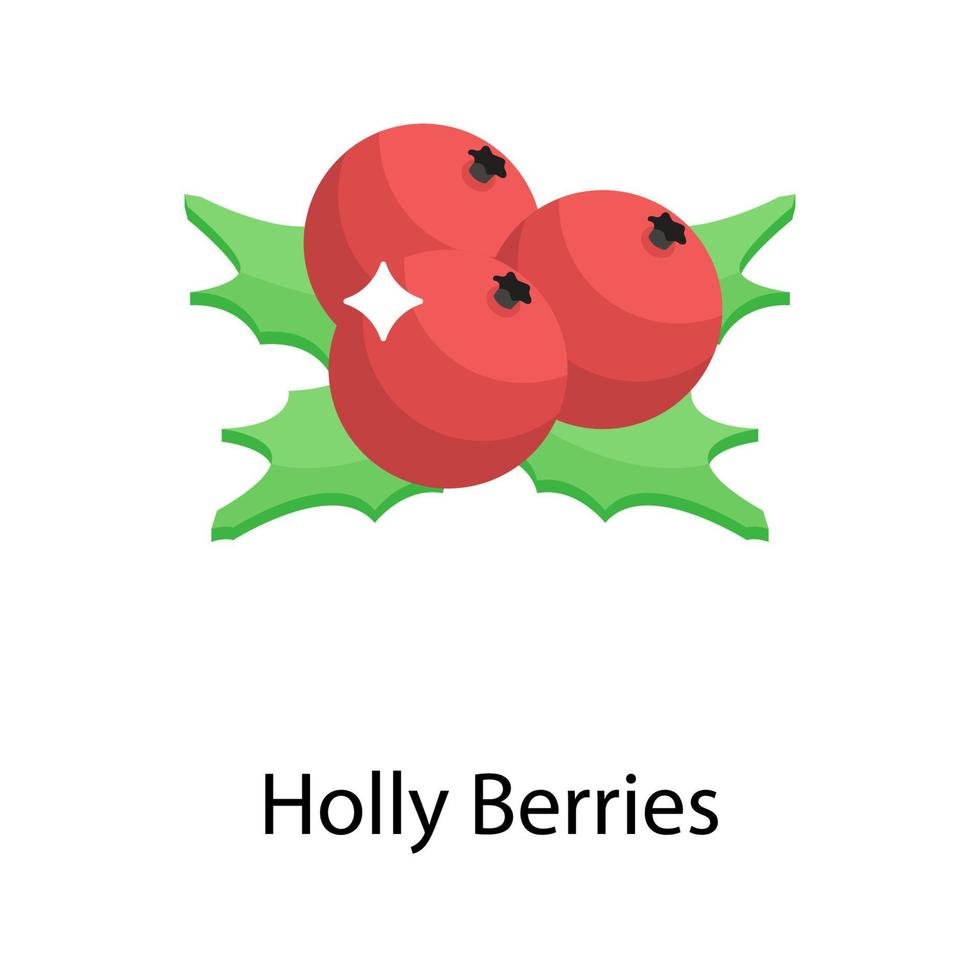 Holly Berries Concepts vector