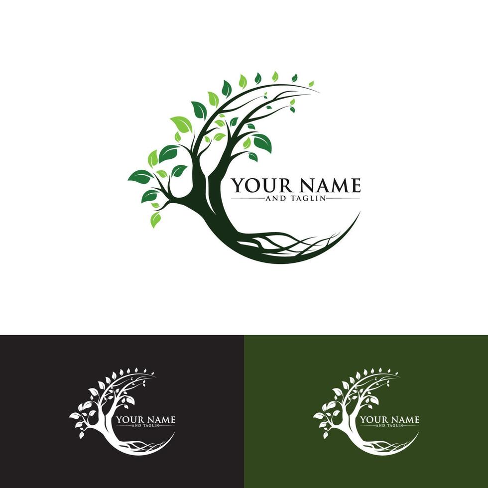 tree logo designs 5147566 Vector Art at Vecteezy