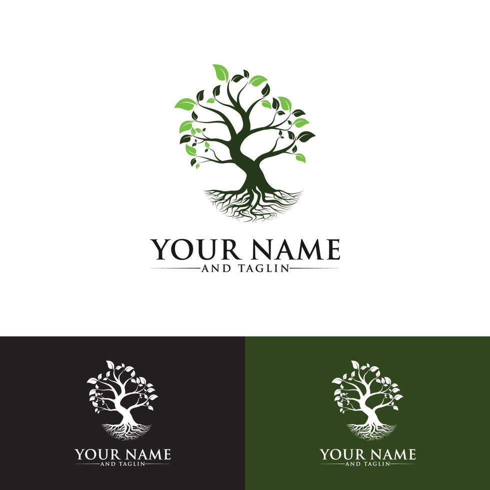 tree logo designs vector