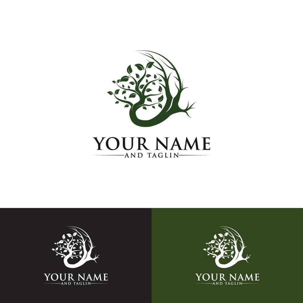 tree logo designs 5147573 Vector Art at Vecteezy