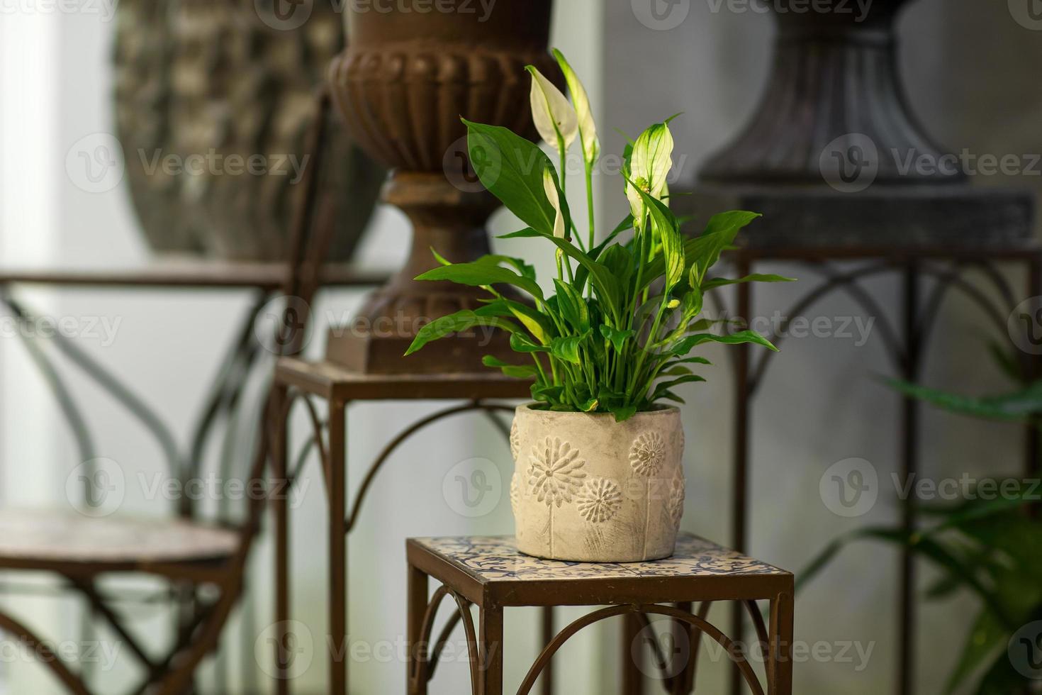 artificial green petals in a pot on a metal stand in the blurry background art objects photo