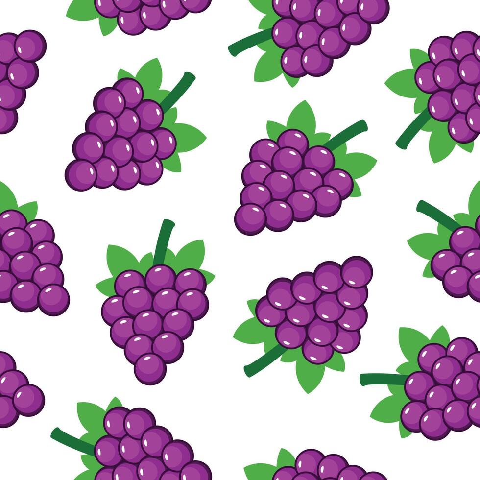 Pattern fruit grape seamless vector flat design background