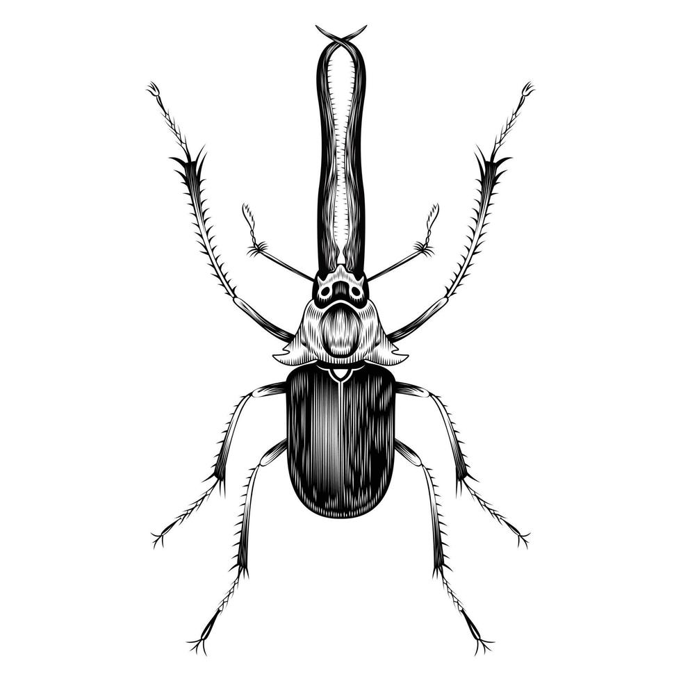chiasognathus grantii ilustración vectorial diseño plano vector
