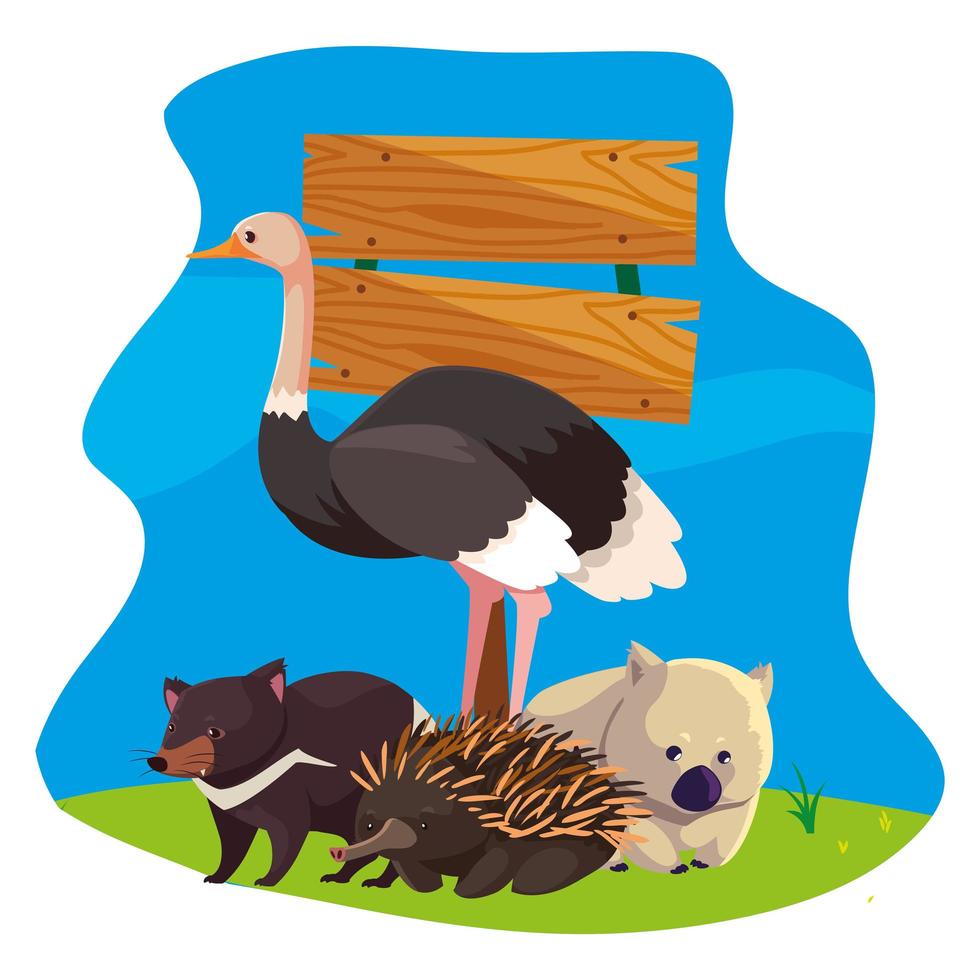 animales de australia sobre el paisaje vector