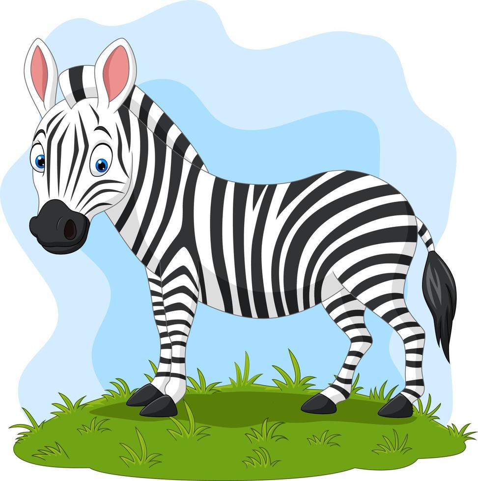 Cartoon happy zebra in the grass vector