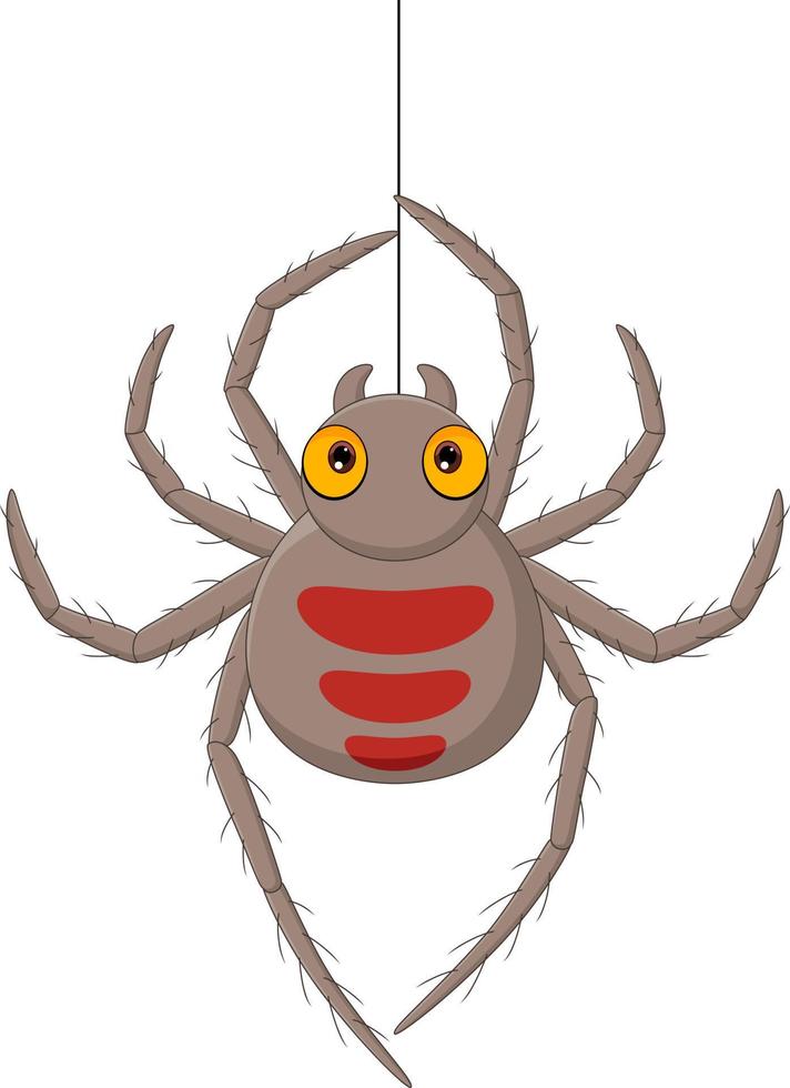 Cartoon spider hanging on a web vector