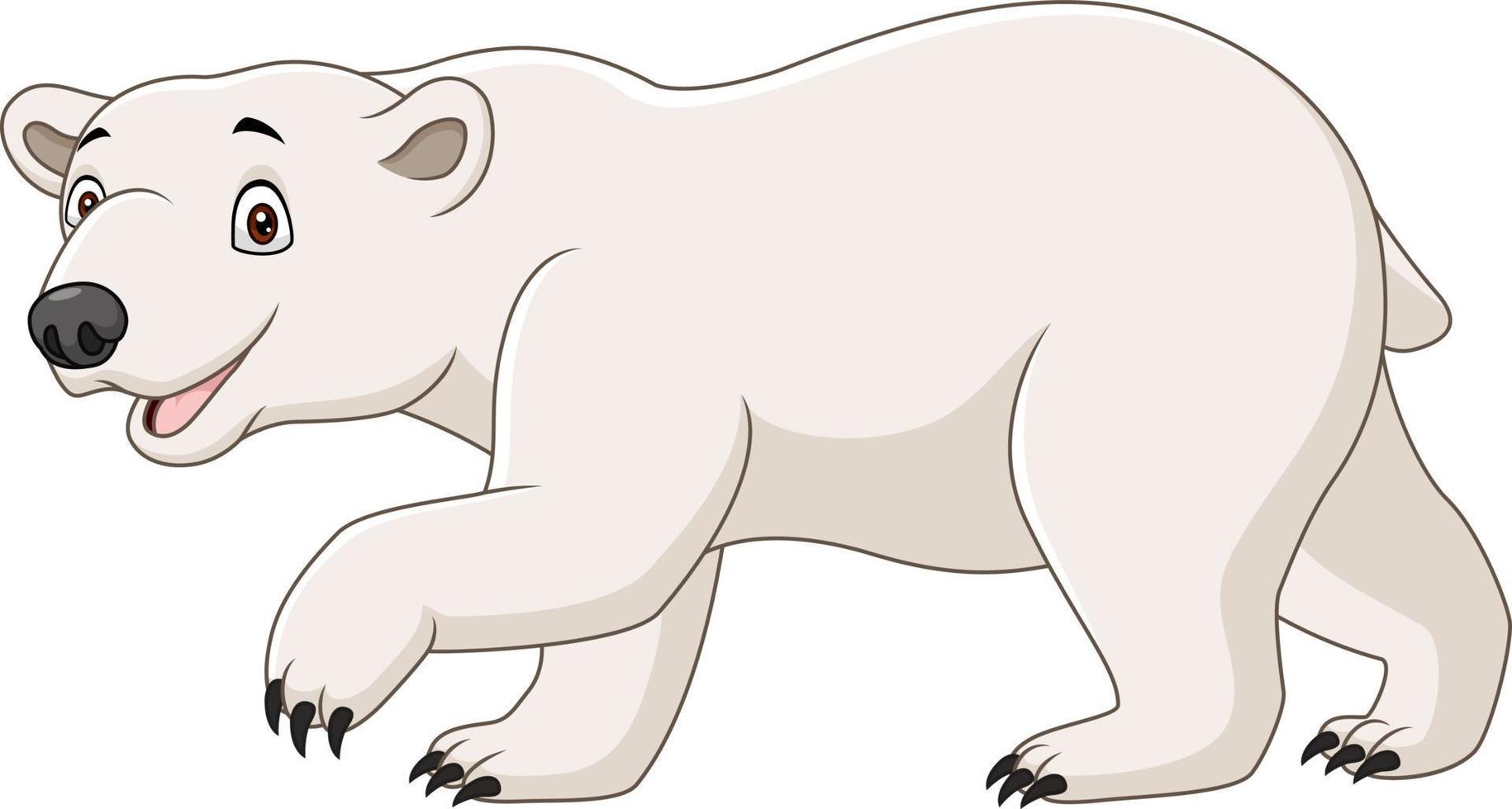 oso polar de dibujos animados aislado sobre fondo blanco 5151782 Vector en  Vecteezy