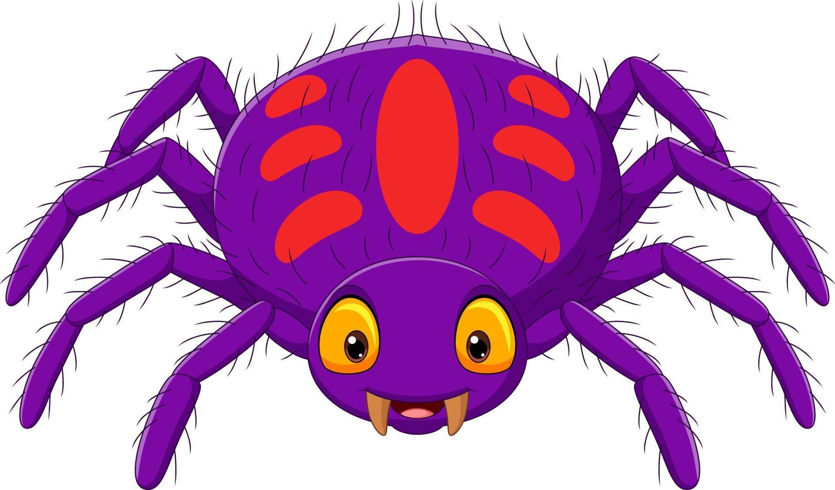 Cartoon purple spider on white background vector